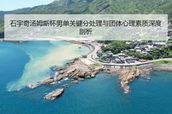 shi-yu-qi-tang-mu-si-bei-nan-dan-guan-jian-fen-chu-li-yu-tuan-ti-xin-li-su-zhi-shen-du-pou-xi-2-627.jpg