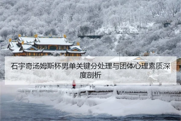 shi-yu-qi-tang-mu-si-bei-nan-dan-guan-jian-fen-chu-li-yu-tuan-ti-xin-li-su-zhi-shen-du-pou-xi-3-993.jpg