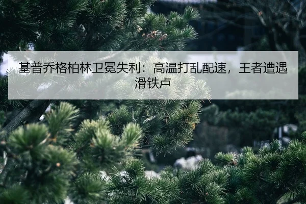 ji-pu-qiao-ge-bo-lin-wei-mian-shi-li-gao-wen-da-luan-pei-su-wang-zhe-zao-yu-hua-tie-lu-2-227.jpg