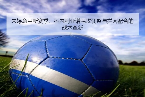 zhu-ting-yi-jia-xin-sai-ji-ke-nei-li-ya-nuo-qiang-gong-tiao-zheng-yu-lan-wang-pei-he-de-zhan-shu-ge-xin-2-409.jpg