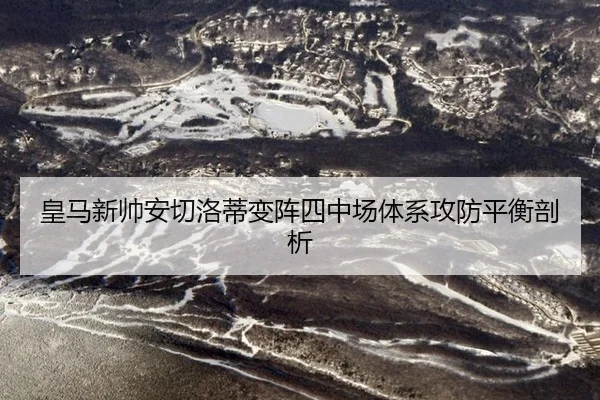 huang-ma-xin-shuai-an-qie-luo-di-bian-zhen-si-zhong-chang-ti-xi-gong-fang-ping-heng-pou-xi-2-968.jpg